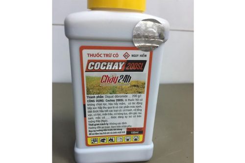 Nữ sinh tự tử nghi do áp lực học tập