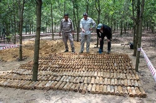 Phát hiện hầm chứa gần 500 quả đạn cối, lựu đạn giữa rừng keo trồng