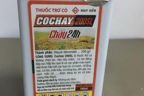 Học hành áp lực, cô gái 22 tuổi uống thuốc diệt cỏ tự tử