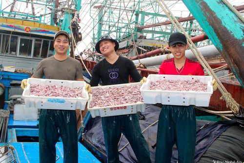 Nghệ An: Hải sản, rau xanh tiêu thụ mạnh, thịt ế ẩm