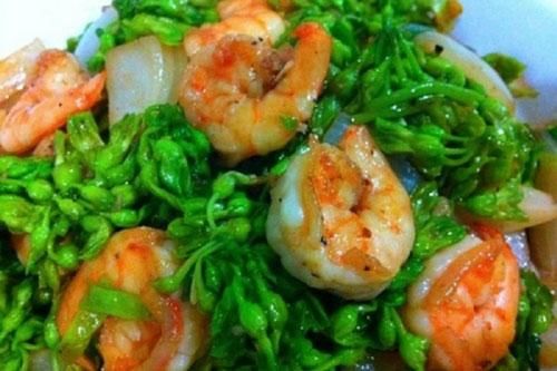 Lợi ích tuyệt vời của hoa thiên lý, ít ai biết đến