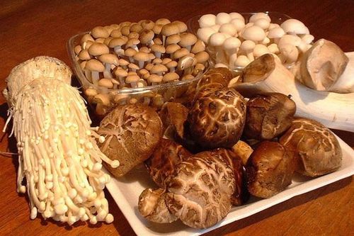Những lưu ý về cách chế biến nấm cần thuộc lòng nếu không muốn cả nhà bị ngộ độc