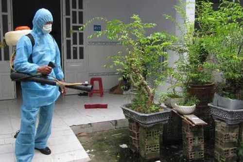 Cách diệt muỗi, bọ gậy phòng sốt xuất huyết hiệu quả