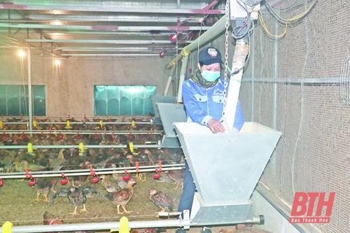 Ứng dụng cơ giới hóa trong sản xuất nông nghiệp