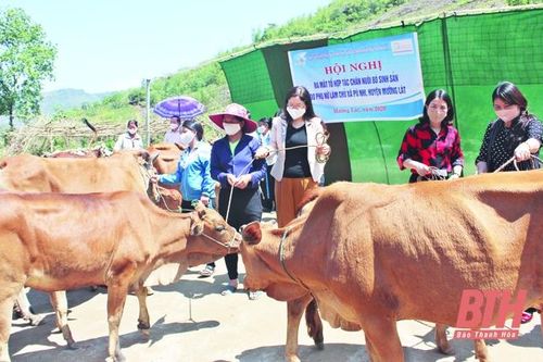 Huyện Mường Lát xây dựng các mô hình phát triển kinh tế