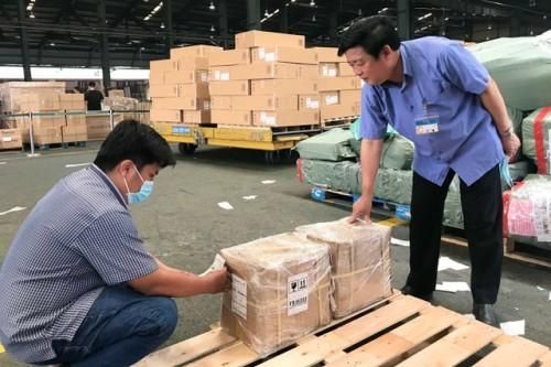 Dược liệu an xoa của Quảng trị xuất khẩu thành công sang Mỹ