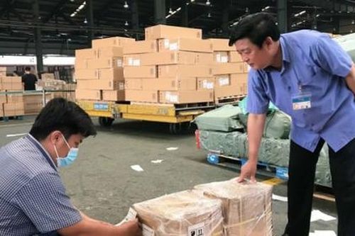 Lô hàng dược liệu đầu tiên của nông dân Quảng Trị xuất khẩu sang Mỹ