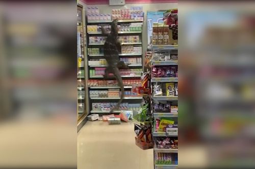 Kỳ đà 'Godzilla' dài hơn 2m đột nhập siêu thị ở Thái Lan