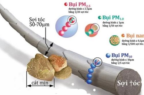 Vì sao bụi mịn PM2.5 nguy hiểm đến tim mạch?