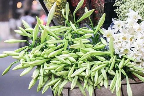 Mùa hoa tháng Tư