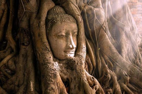 Những đền thờ Phật giáo bí ẩn ở cố đô Thái Lan