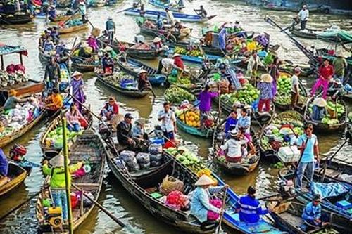VĂN HÓA THÍCH NGHI