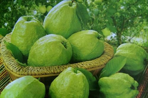 Những loại quả rẻ tiền nhưng là tiên dược ngừa ung thư giúp trường thọ và cả đời sống khỏe