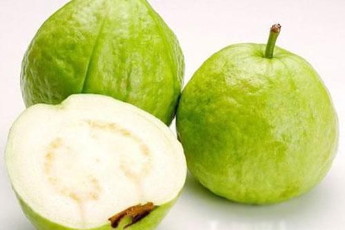 Những người còn ăn ổi coi chừng 'rước họa vào thân'