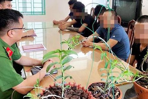 Công an tỉnh Hưng Yên cảnh báo lừa đảo mua bán lan đột biến