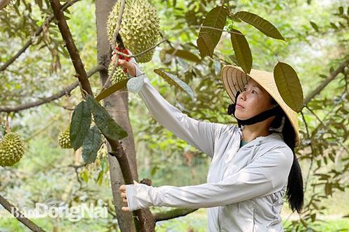 Tiếp sức cho nông dân