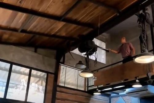 Khỉ gây náo loạn trong nhà hàng Thái Lan