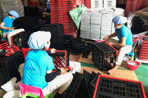 Xuất khẩu trực tuyến - hướng đi hiệu quả