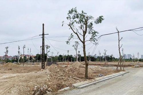 Siết tín dụng bất động sản để cắt cơn sốt nóng