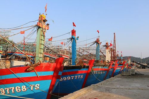 Sớm cơ cấu lại hoạt động nghề cá ở Nghệ An