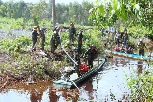 Nóng bỏng rừng tràm Cà Mau