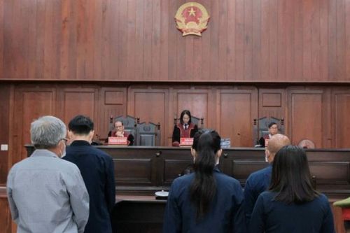 'Út trọc' bị bệnh nặng, Tòa hoãn phiên phúc thẩm vụ cao tốc Trung Lương
