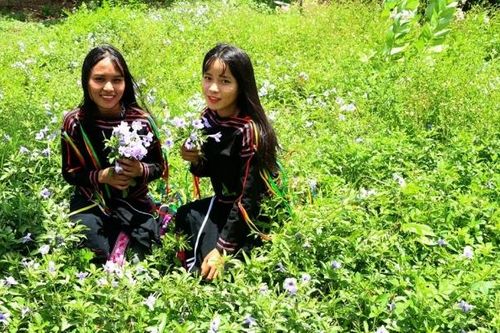 Dân dã Suối Trai