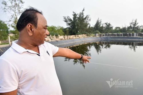 'Kho báu' dưới đáy ao của ông chủ khách sạn, mỗi năm mò lên thu 34 tỷ