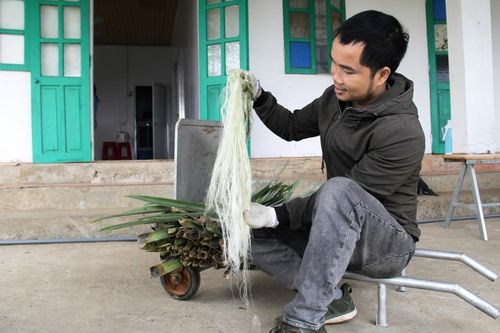 Độc nhất Việt Nam: Tách sợi lá dứa bỏ đi dệt thành hàng thời trang
