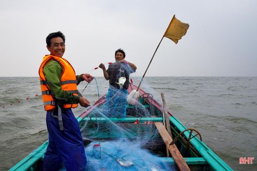 Ngư dân Hà Tĩnh sẵn sàng vươn khơi 'đón' vụ cá nam