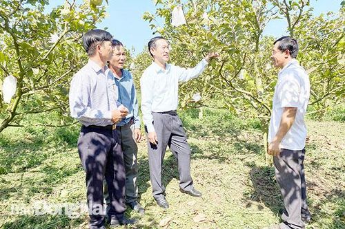 Nhân rộng hiệu quả quỹ hỗ trợ nông dân