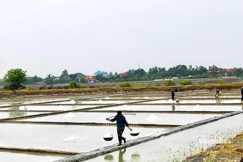 Cam Ranh: Tăng cường sản xuất muối niên vụ 2021