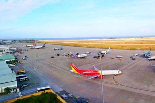 Máy bay chậm hạ cánh do chó xâm nhập đường lăn