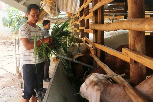 ''Đòn bẩy'' giúp nông dân vùng khó vươn lên