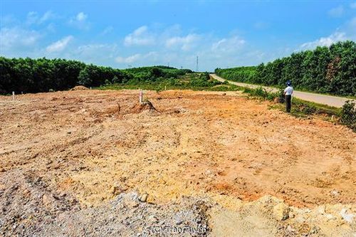 Việc cấp 123 lô đất ở cho người dân tại xã Triệu Ái, huyện Triệu Phong: Cần hoàn thiện các thủ tục cần thiết trước khi phân lô, cấp đất