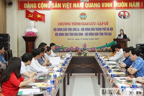 Tăng cường phối hợp, trao đổi kinh nghiệm giữa Hội Nông dân các tỉnh, thành phố