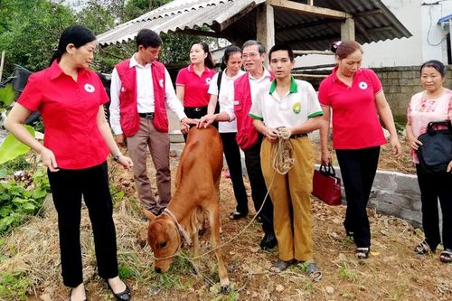 'Cầu nối' trong công tác nhân đạo