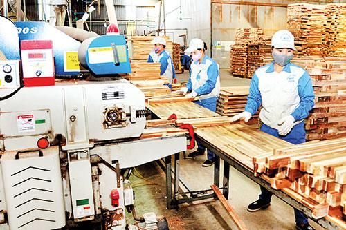 Ngành gỗ: Xây dựng biện pháp ngăn chặn đầu tư núp bóng