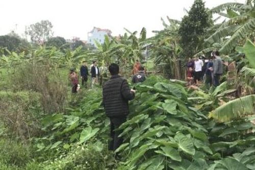 Dùng điện bẫy chuột ở ruộng, một người bị tử vong
