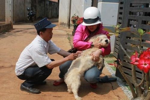 Đắk Lắk: Bất an với bệnh dại