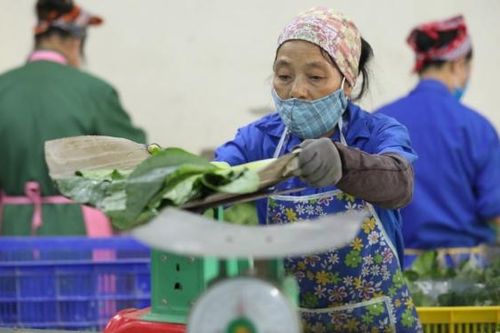 Bắc Giang phê duyệt hơn 300 tỷ đồng cho khuyến công giai đoạn 2021 - 2025