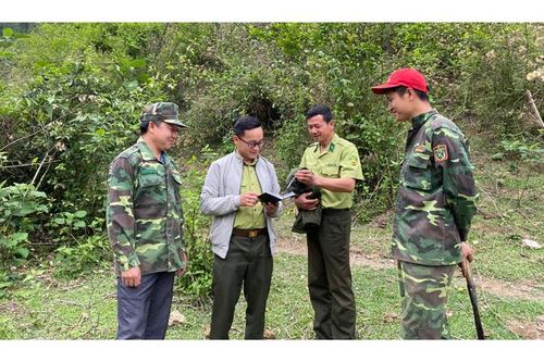 Điện Biên tăng cường biện pháp chống 'giặc lửa'