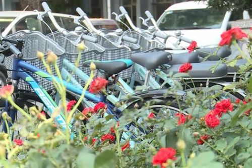 TP. HCM triển khai thí điểm xe đạp công cộng Mobike trên địa bàn trung tâm