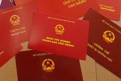 Dùng bằng giả, 9 vị lãnh đạo xã bị cách hết chức vụ trong Đảng