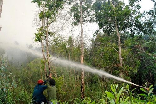 Rừng U Minh Hạ cảnh báo nguy cơ cháy cực kỳ nguy hiểm