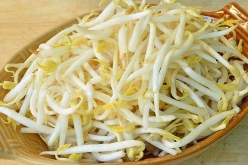 Những lợi ích quý giá của giá đỗ với sức khỏe con người