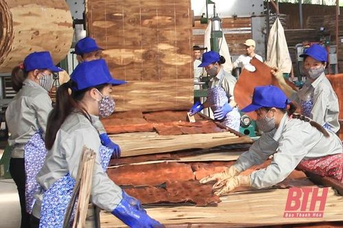 Quan tâm tạo động lực phát triển kinh tế - xã hội khu vực miền núi