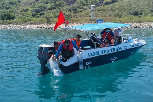 Thả 10.000 con giống tái tạo nguồn lợi thủy sản tại Hòn Mun