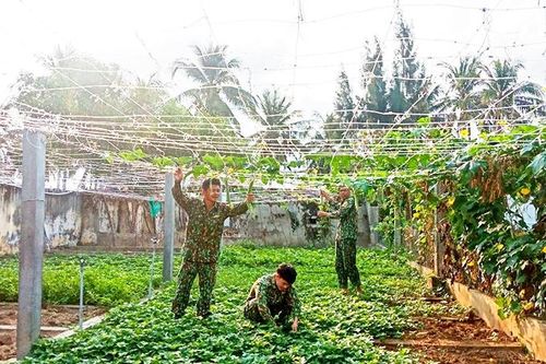 Đồn Biên phòng Ninh Hải: Vượt khó tăng gia sản xuất