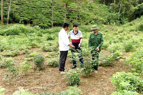 Vai trò của HTX trong xây dựng nông thôn mới